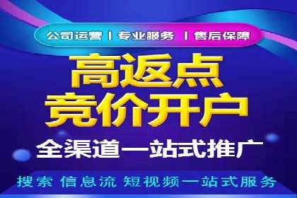 SEM代运营托管公司案例深度解读