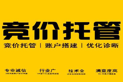 案例分析：托管SEM竞价助力电商旺季促销