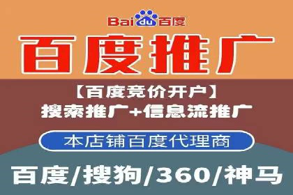 案例解析：揭秘高效竞价推广技巧